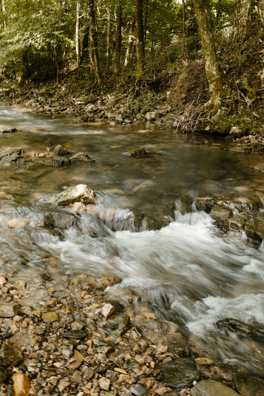 Clear creek flowing over rocks near Running Water Cabin